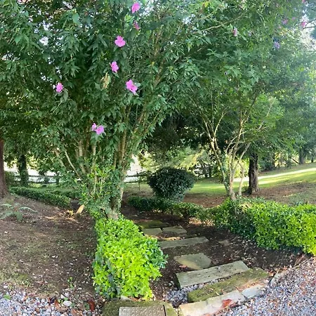 Garden Rock Appartement