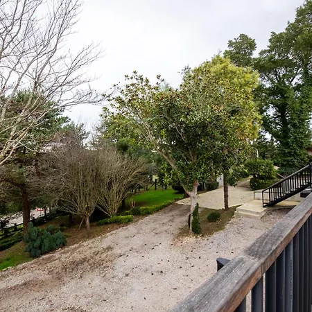 Garden Rock Apartment