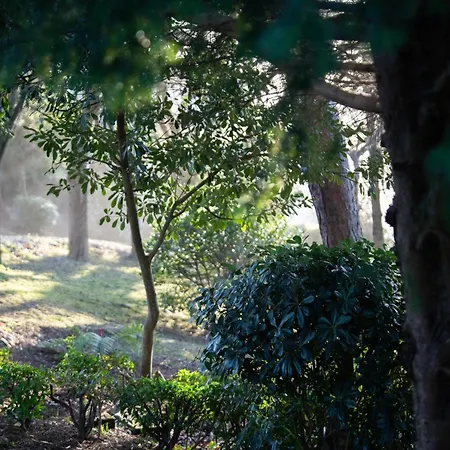 Apartment Garden Rock