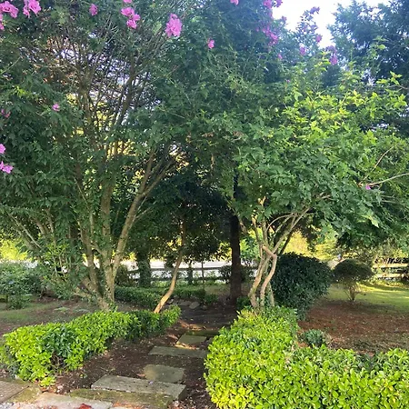 Garden Rock * Santillana del Mar