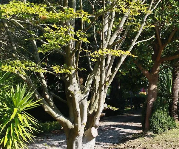 Appartement Garden Rock