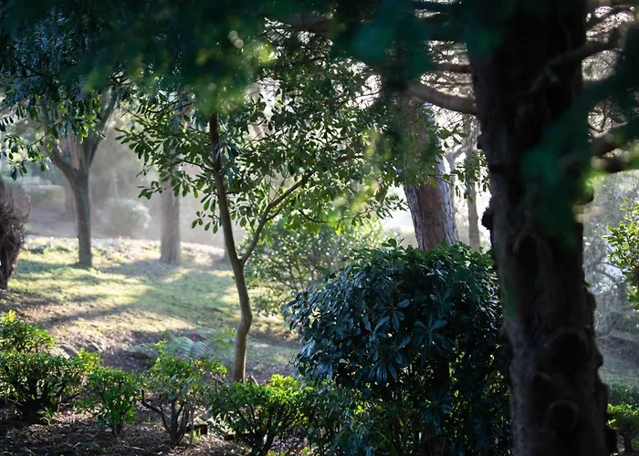 Lägenhet Garden Rock