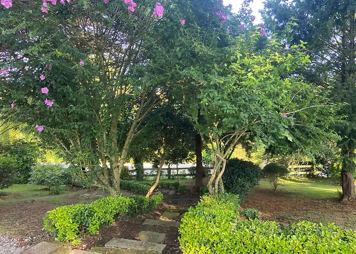 Garden Rock * Santillana del Mar