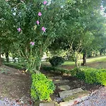 Garden Rock Apartment